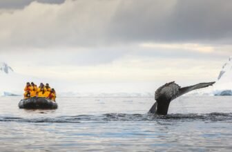 Antarctica reading list: 8 best books to read befo...