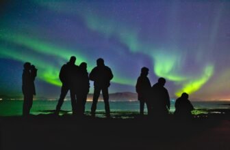 Double-dip savings at Viator with Rakuten and Amex...