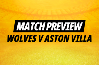Wolves v Aston Villa: Back either goalkeeper to be...