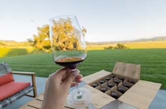 Southwest Airlines joins Alaska Airlines in lettin...