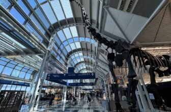 FAA orders flight reductions at Chicago’s O&...