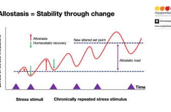 Allostasis in sport