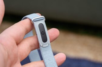 Google’s Fitbit Air Gives Whoop Some Serious Co...
