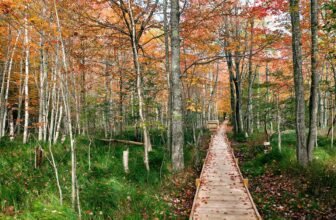 The best US national parks you should visit at lea...
