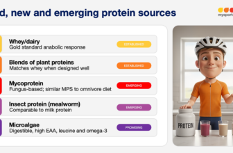 animal, plant and alternative proteins